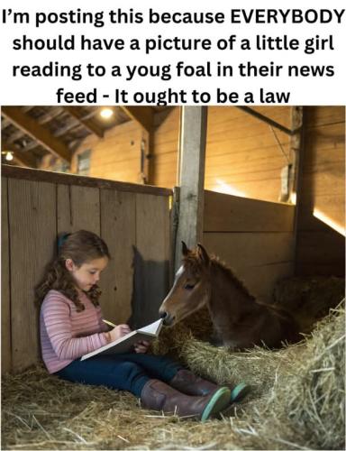 FB_IMG_1745341232820