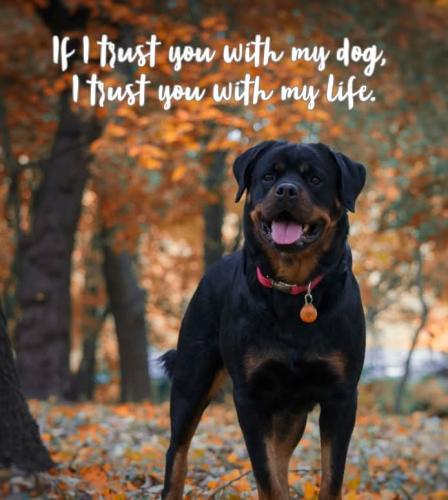 FB_IMG_1745864995124