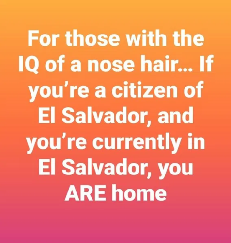 image_2025-04-23_061757254