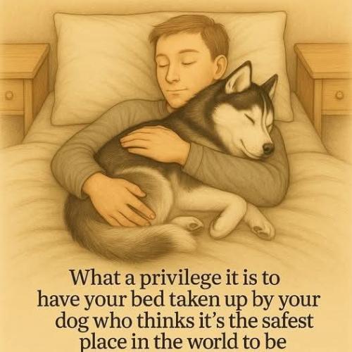 FB_IMG_1745519659920