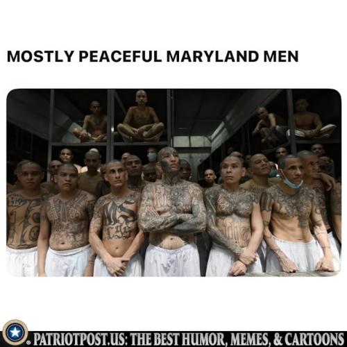 01JSSESMV8ATS5ZWN5RZC4DK93