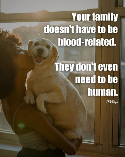 FB_IMG_1745323494415