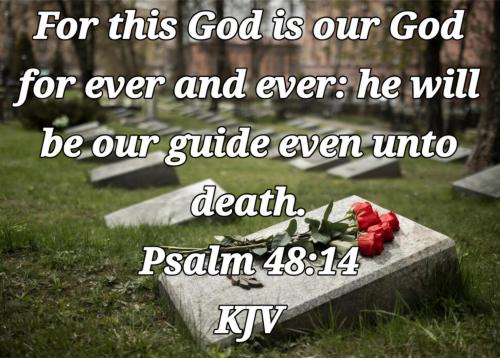 3f4b51dc-6692-4db9-a69e-6d393d492162