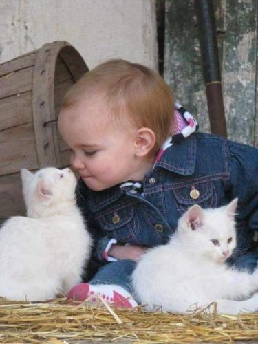 FB_IMG_1619466057430