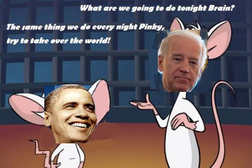 Pinky-and-the-Brain_article_story_large