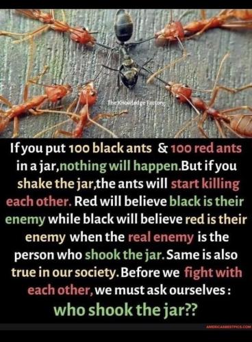 f37fef10-87a6-4c6c-a3d8-0bc3e6a40117