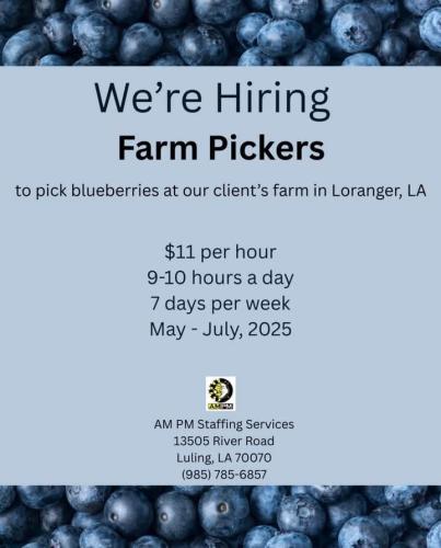 FB_IMG_1745081343475