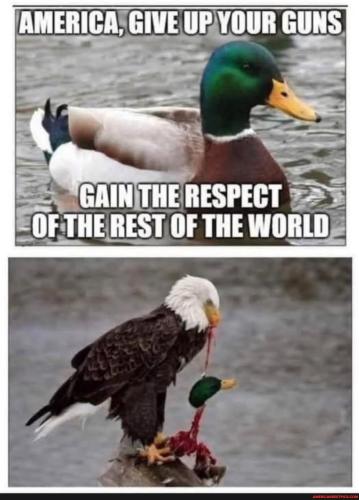 06424011ff5016de2e0d5d9a0d580e590b283a88cc7489cac14d8b2900f50aef_1