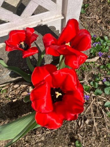 4F977861-E628-4F32-B387-5F5426188CBA