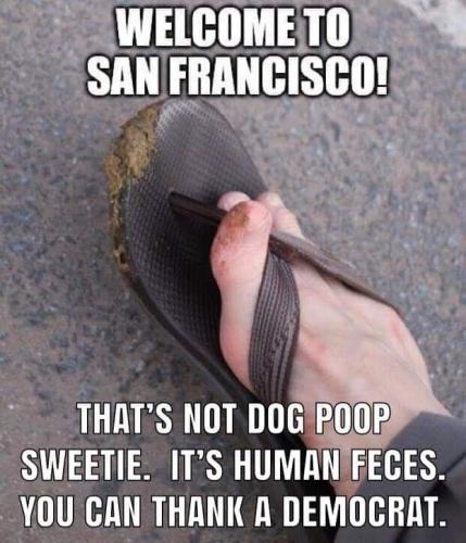 FB_IMG_1556849560556