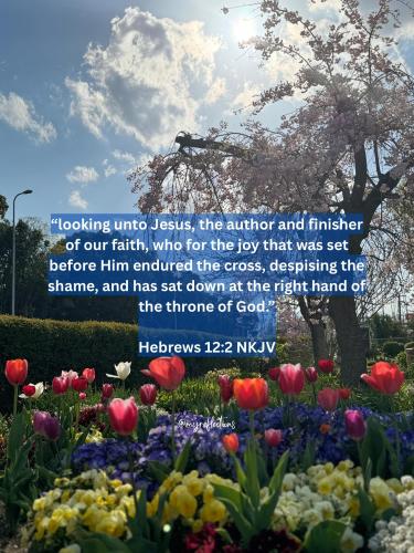 490706132_682865918017809_8720508010471981105_n