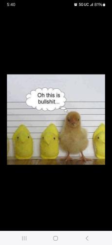 Screenshot_20250409_174018_Facebook