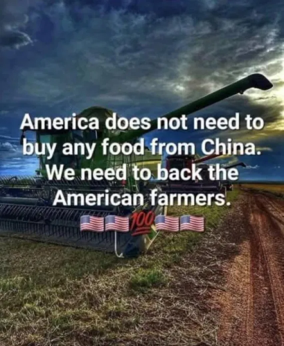 image_2025-04-08_060612826