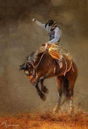 FB_IMG_1552404478803