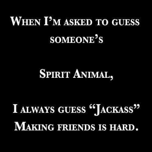 e4265f677f42082733b3ae9d3a5f15c5