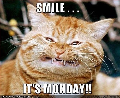 monday-cat-memes-cat-smile-its-monday-httpgotofunpic-iganhascheezeurgercom