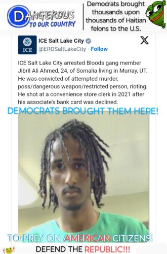 InShot_20250429_111617674~2