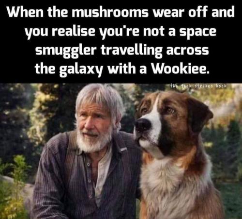 photo_2025-04-05_22-20-44