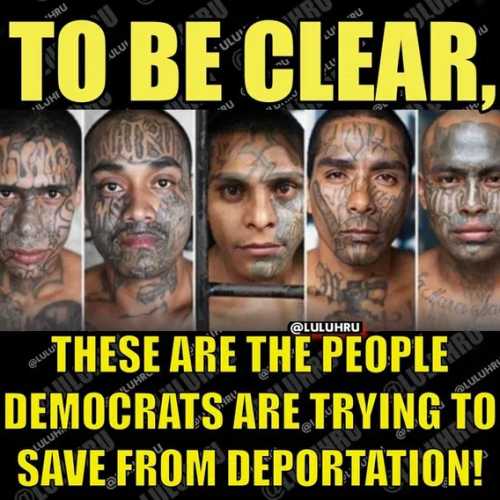 image_2025-04-19_093259102