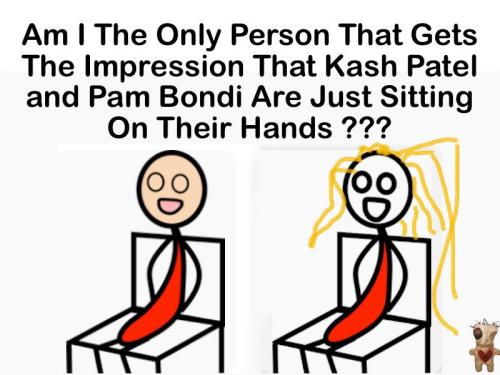 image_1DB2BC77-3940-47BC-B1AA-AC90CF971B49