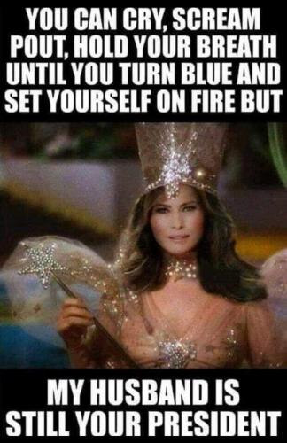 781ae33248504eebc05dbe1c983e365d3e86731794dd2a01a6e37e275311a17a_1