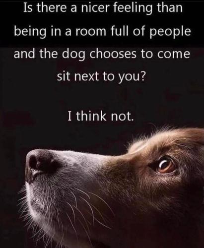 c062b002-9ac7-43dd-a64f-fa95c1277915