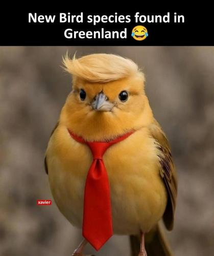 image_E83C5A7F-C964-473D-BABB-FEAB4A64E03A