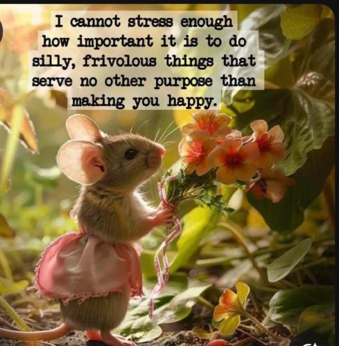 3F79CCA4-2ACE-4E22-8904-8337287C5354