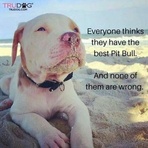 27a818628601c9c8473da736667720c0