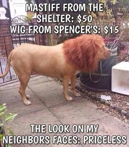 FB_IMG_1745278246142