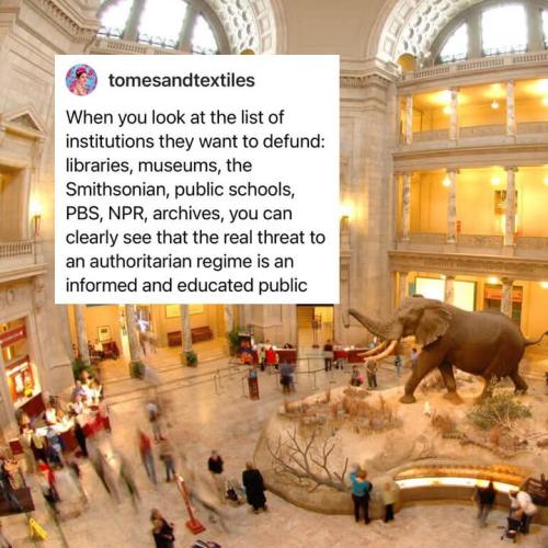 FB_IMG_1743719064333