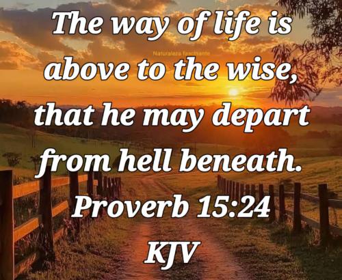 1daf7152-45d1-4468-8249-ab0a3c190cc4