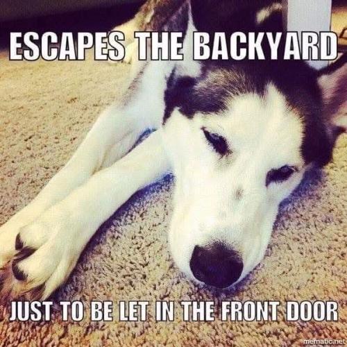 FB_IMG_1745351488114