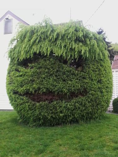 11378DF2-0A31-4EEF-AA13-6AD86EEF90BC