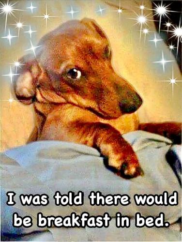 FB_IMG_1744655620375