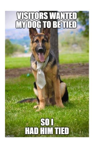 37140c81-28f3-45c5-ba41-5b8ba90ba5c0