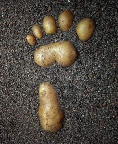 FB_IMG_1745341136281