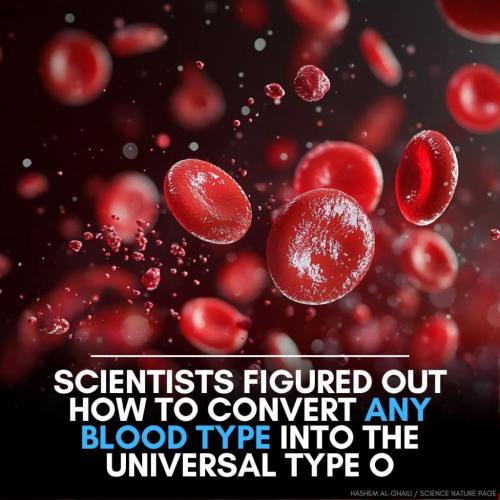 efc189a0-a922-439b-96cf-efe700a1f1d8