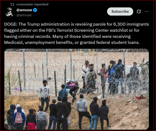 Illegals 1