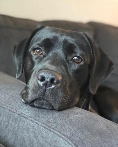 FB_IMG_1743538748650