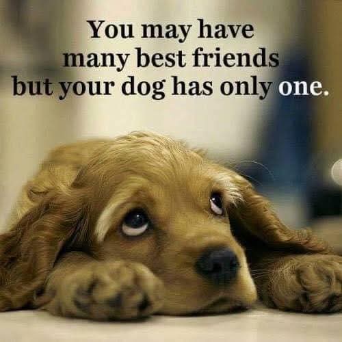 FB_IMG_1745616407618