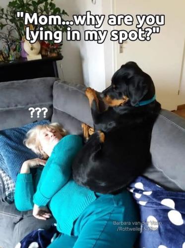 FB_IMG_1743622146718