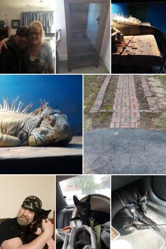 c8b426c4-7ff4-4668-93ed-1de3f003af40