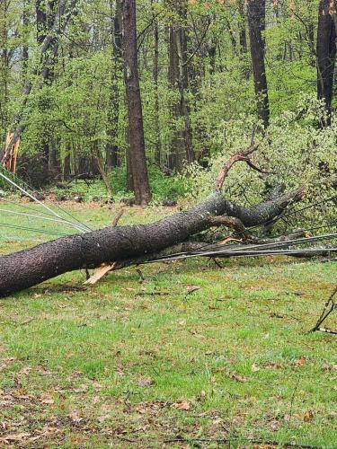 26c7599e-a06e-41f5-a60e-1c52e0f30307