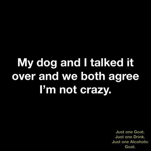 FB_IMG_1744389339731