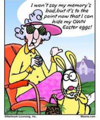 Screenshot_20250330_071321_Gallery