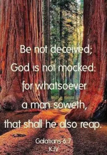 84f0abc5-1e51-4dc5-b6ef-c8cf1486cd95