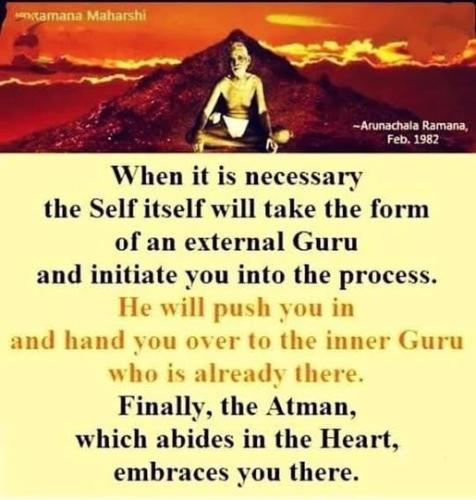 ,     ,       273410949_71196934381