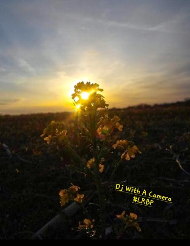 Screenshot_20250408_064836_Gallery