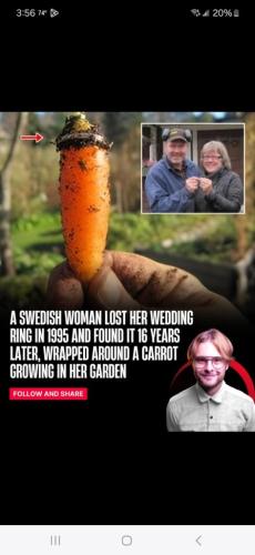 aec88e71-b403-4f7c-94d5-45d5d6e4d736